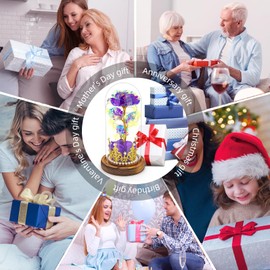 Hemiro Eternal Rose in Glass, Mother's Day Gifts for Mum, Rose in Glass with LED in a Glass Dome, Gifts for Women, Mum, Grandma, Girlfriend (Purple)