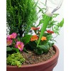seiei おまかせ吸水キャップ 10P 13055