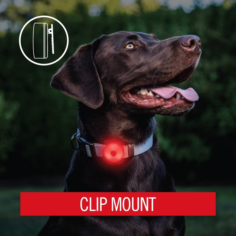 Coast SL1 Safety Clip Light with Red Light Mult-Mode and