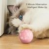 Smart Pet Toy Ball ABS and Silicone Automatic Rolling Toy