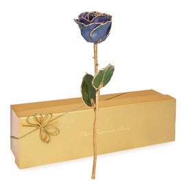 Forever Rose 24K Limited Edition Gold Dipped Tanzanite Rose, The December Birthstone, A Unique & Everlasting Real Rose Hand Dipped in 24K Gold, 11” to 12”