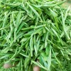 Huoshan Huangya 50g New tea leaves Loose tea Yuqian Yellow