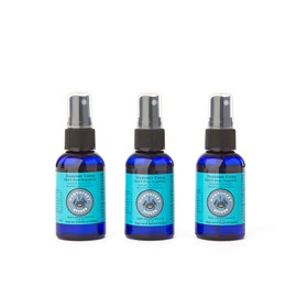 Nantucket Spider 3-Pack | Summer Camp Insect Repellent Spray (2 oz) | DEET-Free & Citronella-Free | Essential Oil Bug Spray for Kids & Family | Made in USA