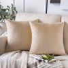 Phantoscope Pack of 2 Velvet Decorative Throw Pillow Covers Soft