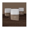 Kaine Cafetinal Cream