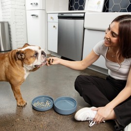 Should We Go? - The Slowdown Bowl Silicone Slow Feeder for Dogs & Puppies, Slow Eating, Modern Lick Mat Design, Reduces Gulping, Fits 2 Cups 7.5” Across x 1.5” Tall, Mealtime Challenge, Medium-Sage