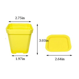 24 Pack 3inch Multi Color Square Plastic Plant Pots,Seedling Nursery Transplanting Planter Container Indoor Outdoor for Your Room,Garden Office and Balcony Decor