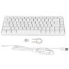 Mechanical Keyboard 82 Keys RGB Wireless 2.4G BT3.0 Type C