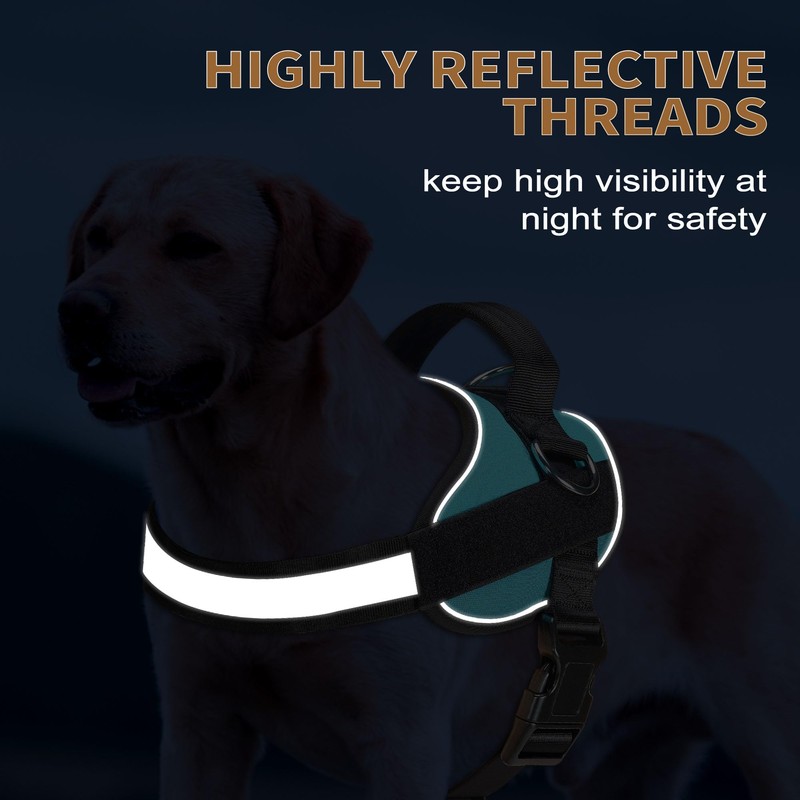 Haapaw Essential Dog Harness, No Pull Pet Vest with 3