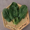 7g/1000pcs Spinach seeds for Four Seasons Planting, 大叶菠菜种子