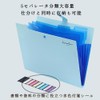 Document Holder Organ Pack, Basic File Case, Document File, Storage