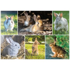 Bunnies & Rabbits - Collage No. 2 - Premium 1000 Piece Puzzle - MyPuzzle Special Collection by Starnberger Spiele