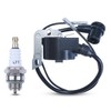 AUMEL Ignition Coil Spark Plug Kit For Husqvarna 395 394