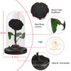 SW Forever Preserved Real Black Rose Flower Birthday Gift for