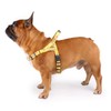 iChoue Dog Harness Easy On and Off Front Back 2