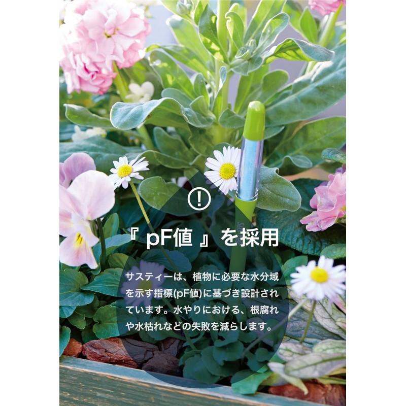 Cabinoche SUSTEE C-0016 Water Checker Susty Refill Single Pack, Large