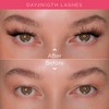 Renata Beauty Day2Night Cluster Eyelashes, Variety in Lengths (10 mm