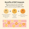 De:maf [De:maf]EGF Peptide Ampoule for Cell-Repair 55ml