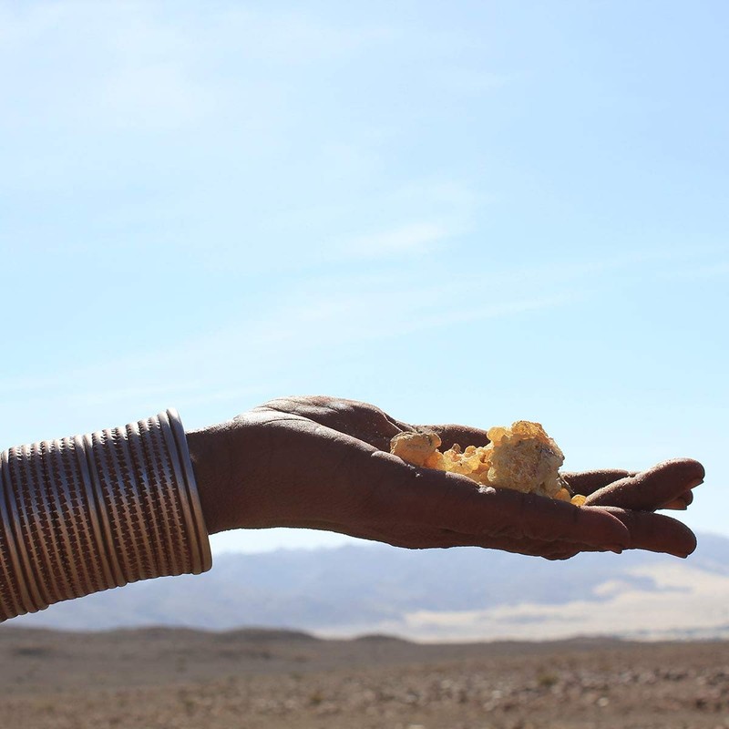 Mbiri Myrrh Resin (Omumbiri) from Namibia, Incense Resin (Commiphora wildii),