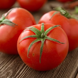 Tomato Seeds - Traveler 76-4 Oz ~30,000 Seeds - Solanum lycopersicum - Farm & Garden Vegetable Seeds - Non-GMO, Heirloom, Open Pollinated, Annual