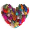 HOCUCHELAND Pack of 200 Guinea Fowl Feathers, 4.5-10 cm, Colourful