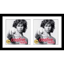 Creative Picture Frames 16x30-inch Double Record Album Cover Frame with White Matting Displays 2 Individual LP Covers