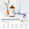 HIQILI HIQILI Peppermint Essential Oil and Turmeric Essential Oil, 100%