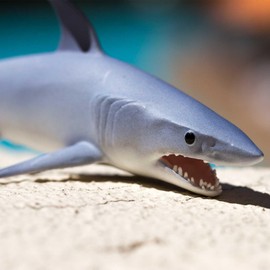 Safari Ltd. Mako Shark Figurine - Realistic 5.8" Plastic Figure - Educational Toy for Boys, Girls, and Kids Ages 3+