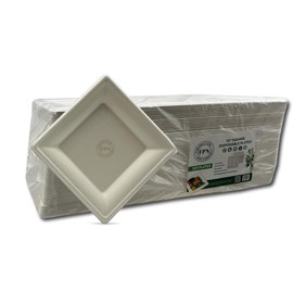 FPN Disposable Sugarcane Square Plates, Compostable Eco-Friendly Dinnerware, Biodegradable Party Plates for Hot & Cold Food (125, 10 In)