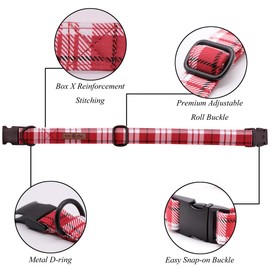 lionet paws Dog Collar Durable Adjustable Metal Buckle Collar with Bowtie for Medium Dogs, Neck 34-55cm M