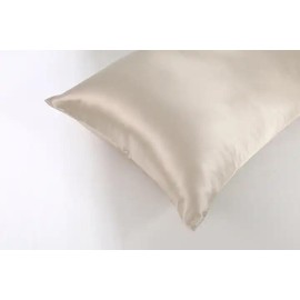 Silk Pillowcase 65 x 65 cm, Anti-Wrinkle, Mite-Proof and Non-Absorbent, 100% Silk for Healthy Hair and Skin (Nude)