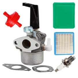 Carkio 696065 Carburetor Kit with Gasket, YL-991 Air Filter, YL-999 Fuel Filter, YL-721 Spark Plug for Briggs Stratton 697422 110412 110402 Engine Router Carburetor