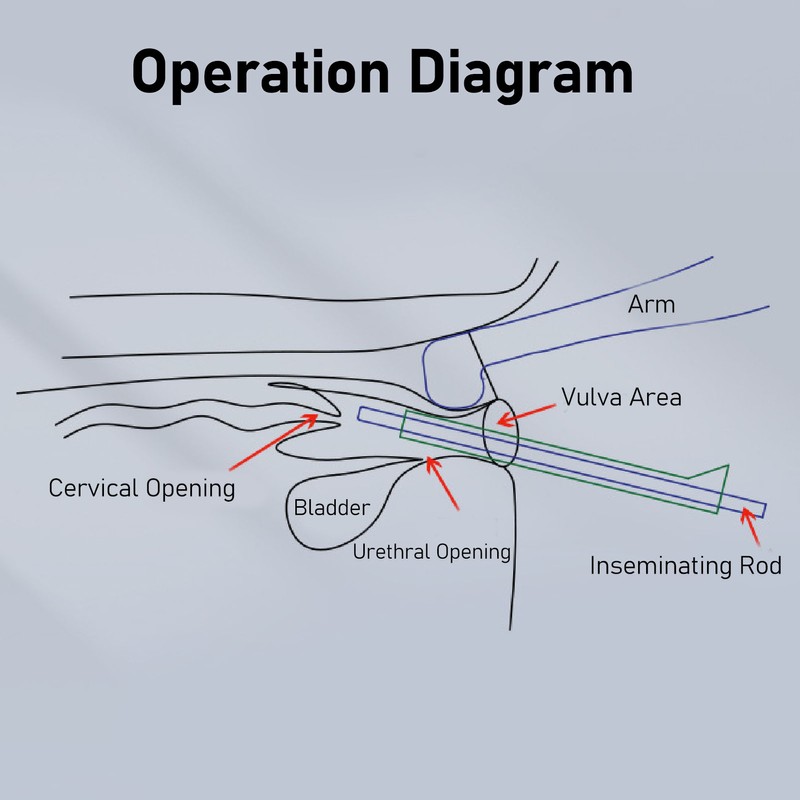 Cow Inseminating Rod 304 Stainless Steel Artificial Animal Breeding Tool
