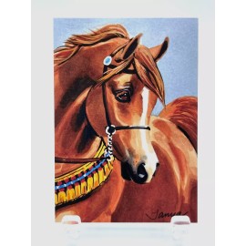 Arabian Horse Sketch Card painting print Limited Ed. 1/5 ACEO-ATC - Artist Tanya