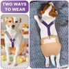 Saintrygo 2 Pcs Dog Suspenders for Diapers Female Male Belly