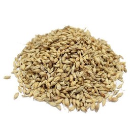 국내산 볶은 보리(맥아) 500g Domestic Roasted Barley (Malt) 500g