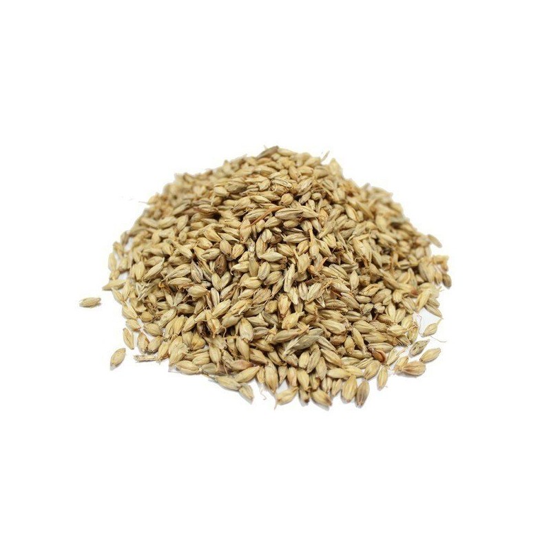 국내산 볶은 보리(맥아) 500g Domestic Roasted Barley (Malt) 500g
