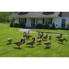 Canada Goose Decoy Head Flocking Kit - 50 Heads