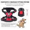 PoyPet No Pull Dog Harness, No Choke Front Clip Dog