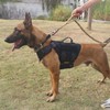 ICEFANG GN3 Tactical Dog Harness with 6X Buckle,Dog Molle Vest