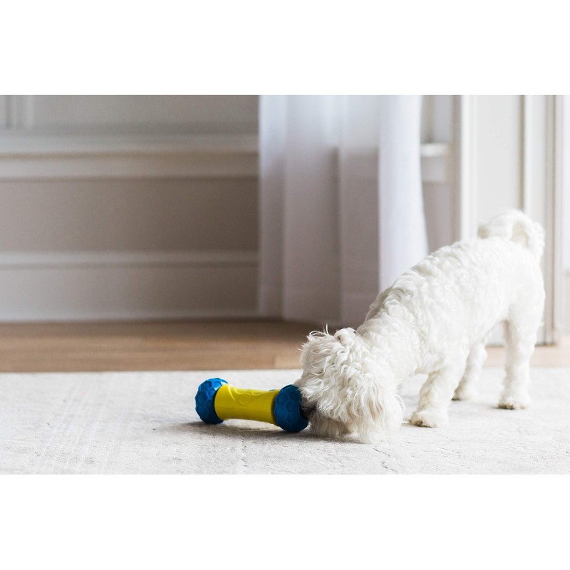 JW Pet 32290 RoboBone Electronic Treat Dispenser, Yelow/Blue