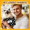 Funny Cat Socks for Men - Birthday Gifts for Cat