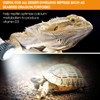 GeeKoit Premium High-Intensity UVB Reptile Light for Optimal Calcium Metabolism,5-Watt