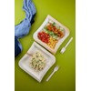 FOOGO Green 50 Disposable Palm Leaf Plates, Eco-Friendly Biodegradable Compostable