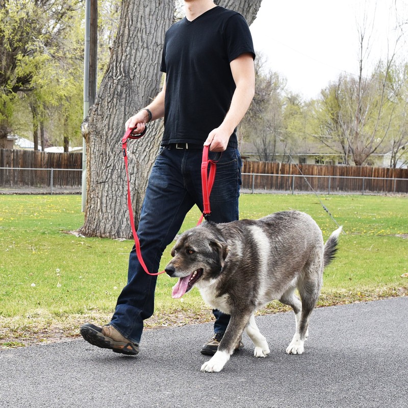 Wagtime Club Soft &Thick Dual Handle 6FT Dog Leash, Premium