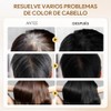 Black Hair Dye Shampoo 3 in 1, Shampoo para Canas