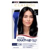 Clairol Root Touch-Up Permanent Hair Dye, 2 Black Hair Color,