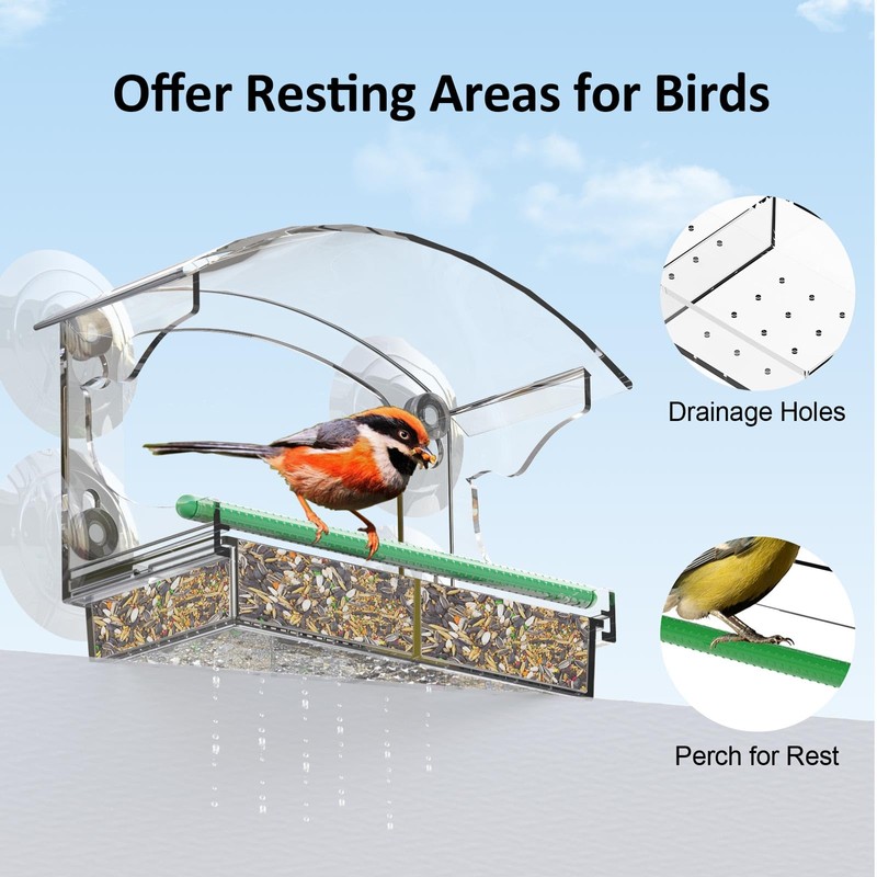 Clear Window Bird Feeder with 4 Strong Suction Cups, Removable