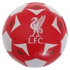 Liverpool 4" Soft Ball - One Size