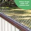 Bird Blinder Stainless Steel Bird Spikes – 4-Inch Wide Pre-Assembled